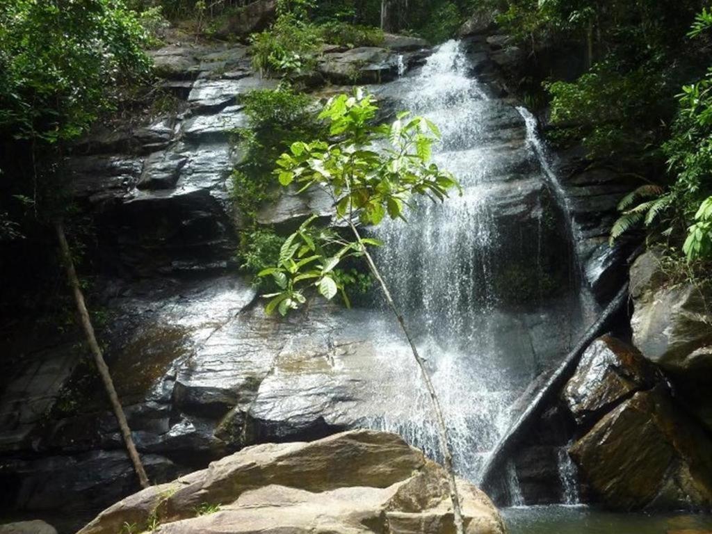 Secret Paradise Resort & Turtle Sanctuary San Vicente  Ngoại thất bức ảnh